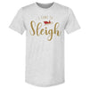 Christmas I Came To Sleigh by 500 LEVEL