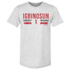 Davison Igbinosun College Font by 500 LEVEL