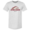 Birmingham Stallions Primary Logo by 500 LEVEL