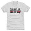 Lourdes Gurriel Jr. Arizona Font by 500 LEVEL
