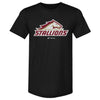 Birmingham Stallions Primary Logo WHT by 500 LEVEL