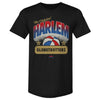 Harlem Globetrotters Retro Arc WHT by 500 LEVEL