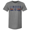 Francisco Lindor New York M Font by 500 LEVEL