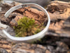 Hold Cuff | Sterling Silver by mend metalworks