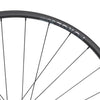 NEWMEN - Wheel (Rear) - Forge 30 Light | Cross Country - [D] by ZEITBIKE