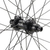 NEWMEN - Wheel (Rear) - Forge 30 Light | Cross Country - [D] by ZEITBIKE