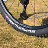 NEWMEN - Wheel (Rear) - Forge 30 Light | Cross Country - [D] by ZEITBIKE
