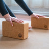 Cork Yoga Block Set by Yoloha Yoga