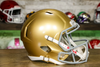 Notre Dame Fighting Irish Riddell Speed Display Helmet
