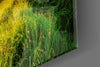 Valley Glass Wall Art by Insigneart USA