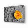 Yellow Rose Glass Wall Art by Insigneart USA