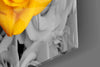 Yellow Rose Glass Wall Art by Insigneart USA