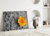 Yellow Rose Glass Wall Art by Insigneart USA