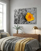Yellow Rose Glass Wall Art by Insigneart USA