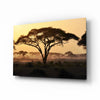 Tree Glass Wall Art by Insigneart USA