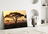 Tree Glass Wall Art by Insigneart USA