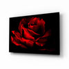 Red Rose Glass Wall Art by Insigneart USA