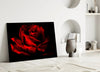 Red Rose Glass Wall Art by Insigneart USA