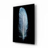 Blue Feather Glass Wall Art by Insigneart USA