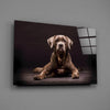 Dog Glass Wall Art by Insigneart USA