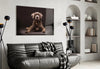 Dog Glass Wall Art by Insigneart USA