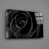 Black Rose Glass Wall Art by Insigneart USA