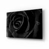 Black Rose Glass Wall Art by Insigneart USA