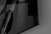 Black Rose Glass Wall Art by Insigneart USA