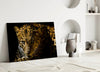 Leopar Glass Wall Art by Insigneart USA
