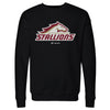 Birmingham Stallions Primary Logo WHT by 500 LEVEL