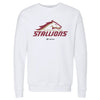 Birmingham Stallions Primary Logo by 500 LEVEL