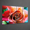 Rose 4 Pieces Mega Glass Wall Art (59"x36") by Insigneart USA