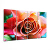 Rose 4 Pieces Mega Glass Wall Art (59"x36") by Insigneart USA