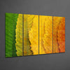 Autumn Leaves 4 Pieces Mega Glass Wall Art (59"x36") by Insigneart USA