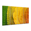 Autumn Leaves 4 Pieces Mega Glass Wall Art (59"x36") by Insigneart USA