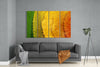 Autumn Leaves 4 Pieces Mega Glass Wall Art (59"x36") by Insigneart USA