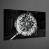 Dandelion 4 Pieces Mega Glass Wall Art (59"x36") by Insigneart USA