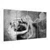 Dancing with Smoke 4 Pieces Mega Glass Wall Art (59"x36") by Insigneart USA