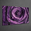 Purple Rose 4 Pieces Mega Glass Wall Art (59"x36") by Insigneart USA