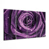 Purple Rose 4 Pieces Mega Glass Wall Art (59"x36") by Insigneart USA