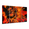 Gerbera Daisy 4 Pieces Mega Glass Wall Art (59"x36") by Insigneart USA