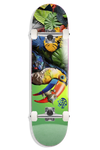 Push "Toucan" 8" Complete Skateboard