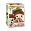 POP! TV: Nick Rewind- Donnie Thornberry by THE MIGHTY HOBBY SHOP