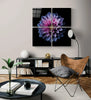 Purple Chrysanthemum Quadro Glass Wall Art by Insigneart USA