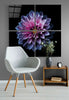 Purple Chrysanthemum Quadro Glass Wall Art by Insigneart USA