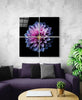 Purple Chrysanthemum Quadro Glass Wall Art by Insigneart USA