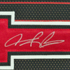 Framed Autographed/Signed Dennis Rodman 35x39 Chicago Pinstripe Basketball Jersey PSA/DNA COA