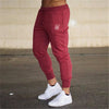Jogging Pants Men Fitness Joggers Running Sweatpants