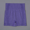 Women's High Waist Seamless Fitness Shorts