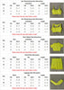 Seamless Luxe Yoga Set: High Waist leggings & Shorts